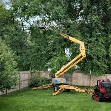 Best Hazardous Tree Removal  in Troy, NC