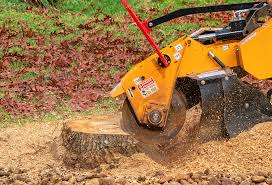 Best Tree Cabling and Bracing  in Troy, NC
