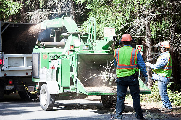 Best Weed Control  in Troy, NC